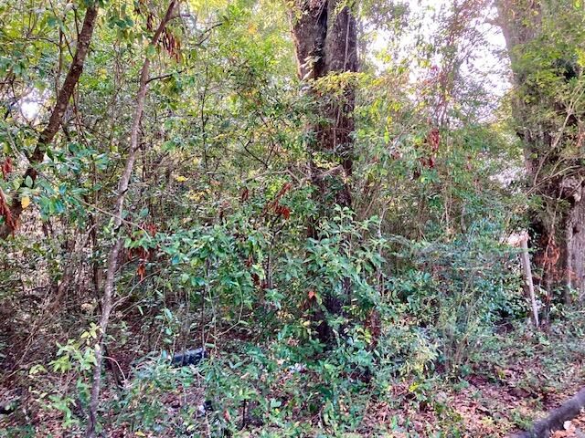 .47ac. Jordan Street, Defuniak Springs, FL 32433