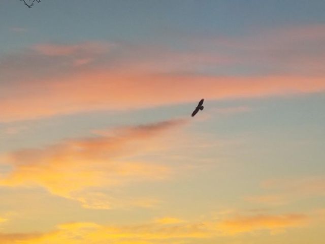 735 PARK STREET, Wrightstown, WI 54180