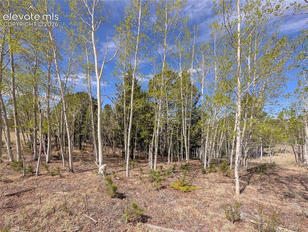 905 May Queen Drive, Cripple Creek, CO 80813