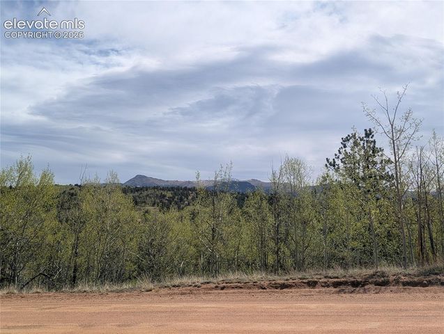 905 May Queen Drive, Cripple Creek, CO 80813