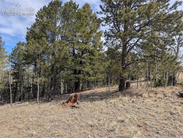 905 May Queen Drive, Cripple Creek, CO 80813