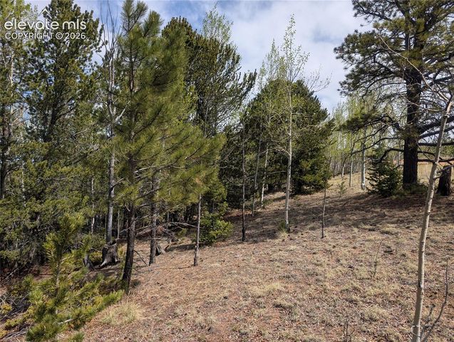 905 May Queen Drive, Cripple Creek, CO 80813