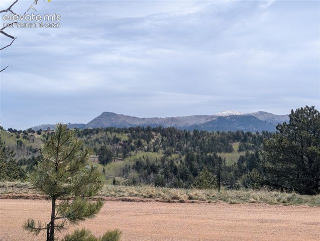 905 May Queen Drive, Cripple Creek, CO 80813