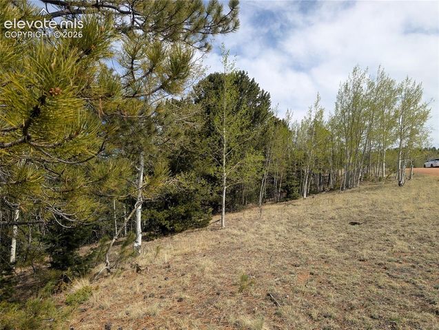 905 May Queen Drive, Cripple Creek, CO 80813