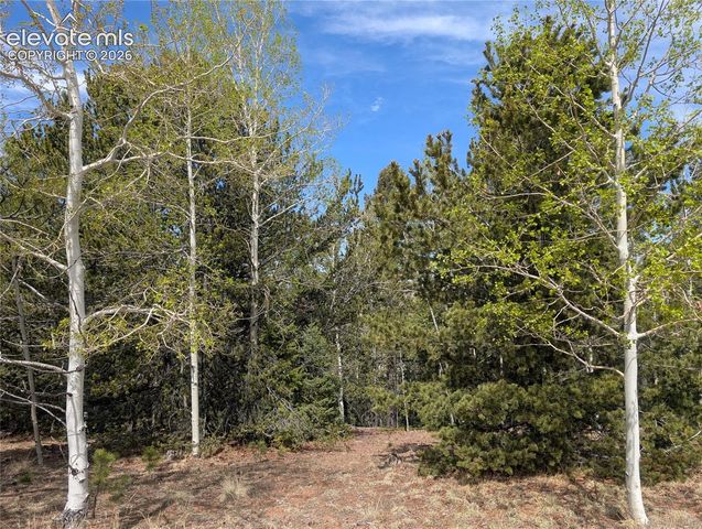 905 May Queen Drive, Cripple Creek, CO 80813
