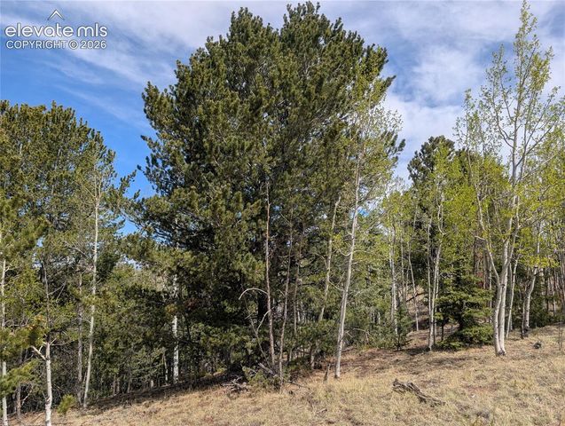 905 May Queen Drive, Cripple Creek, CO 80813