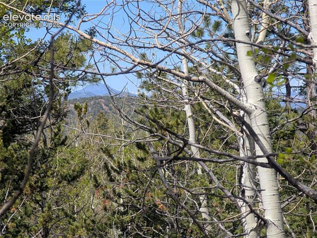 905 May Queen Drive, Cripple Creek, CO 80813