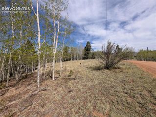 905 May Queen Drive, Cripple Creek, CO 80813