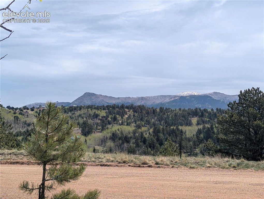 905 May Queen Drive, Cripple Creek, CO 80813 — photo 3
