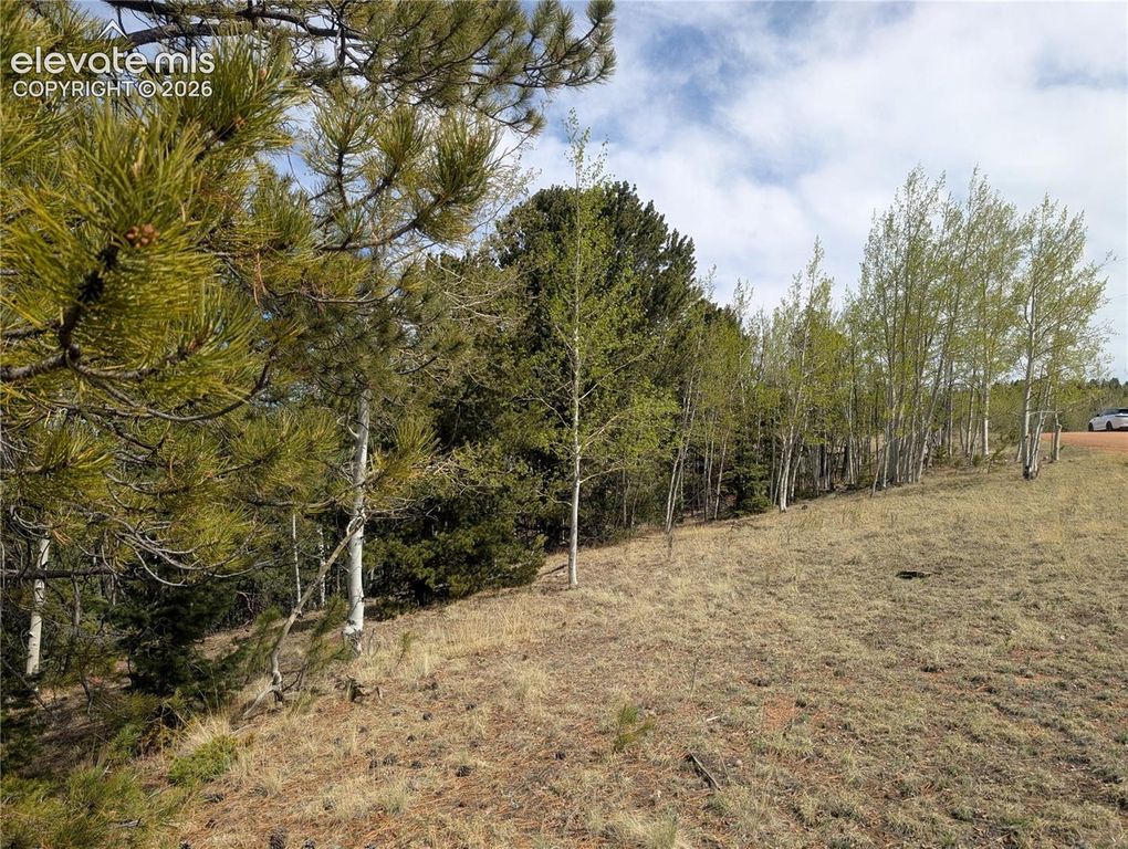 905 May Queen Drive, Cripple Creek, CO 80813 — photo 4