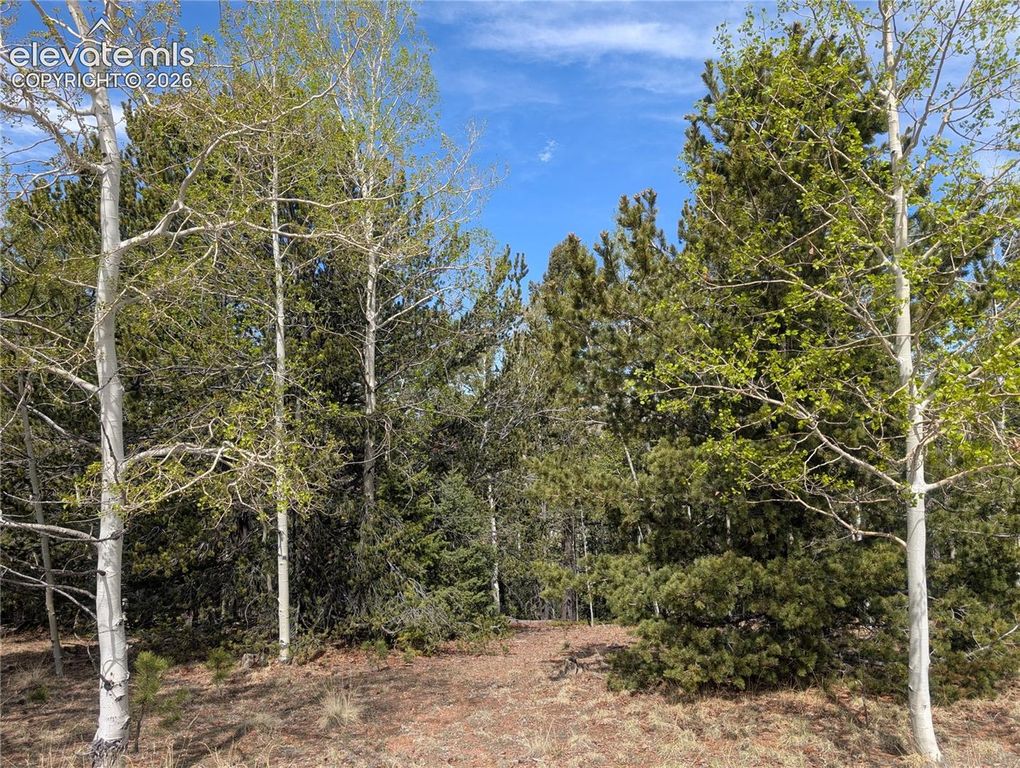 905 May Queen Drive, Cripple Creek, CO 80813 — photo 5