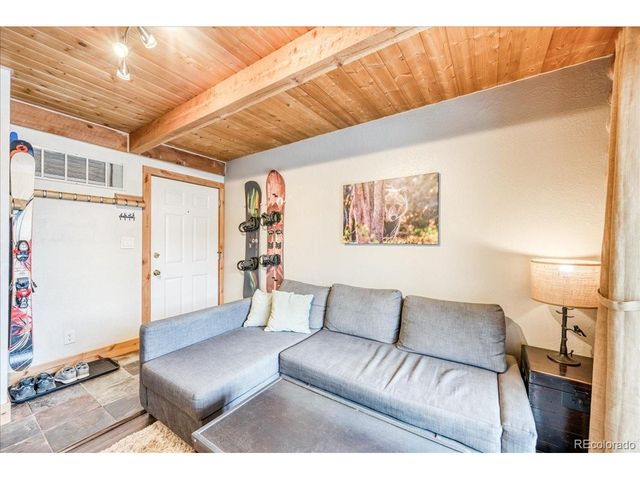 100 Cove Blvd B, Dillon, CO 80435