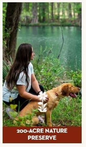 22214 Junction Peak Drive, Porter, TX 77365