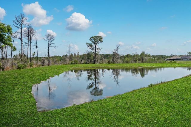 8934 LITTLE BLUESTEM DRIVE, Land O Lakes, FL 34637