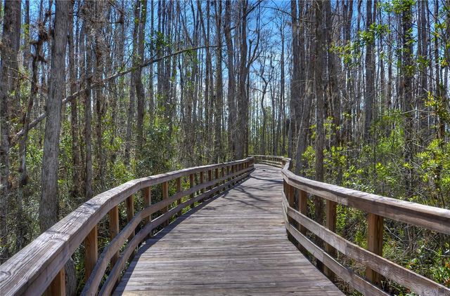 8934 LITTLE BLUESTEM DRIVE, Land O Lakes, FL 34637