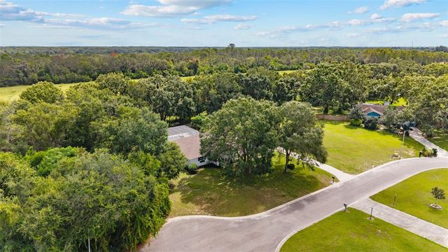 10204 TRANQUIL LANE, Odessa, FL 33556