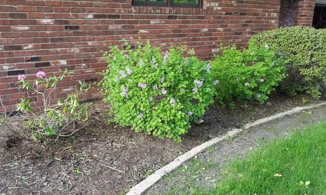 1795 Lake Valentine Road, Arden Hills, MN 55112