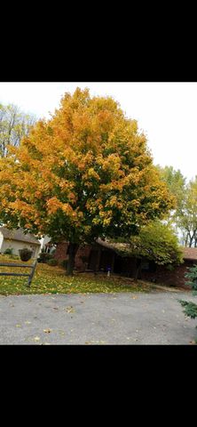 1795 Lake Valentine Road, Arden Hills, MN 55112