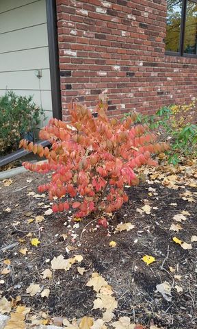 1795 Lake Valentine Road, Arden Hills, MN 55112