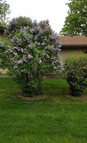 1795 Lake Valentine Road, Arden Hills, MN 55112