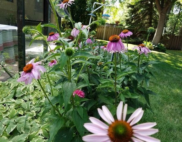 1795 Lake Valentine Road, Arden Hills, MN 55112