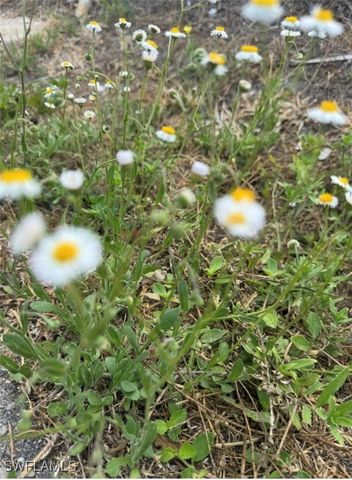 36TH AVE SE, Naples, FL 34117