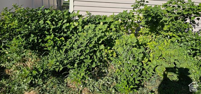 2269 S CLEAR CREEK RD, Nibley, UT 84321