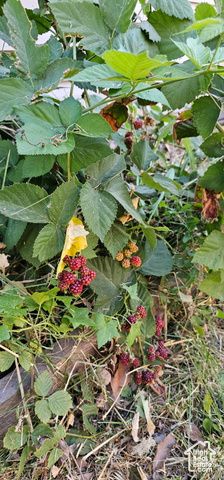 2269 S CLEAR CREEK RD, Nibley, UT 84321