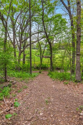 1320 Terrill Creek Road, Billings, MO 65610