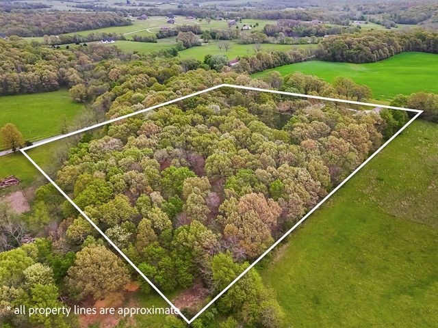 1320 Terrill Creek Road, Billings, MO 65610