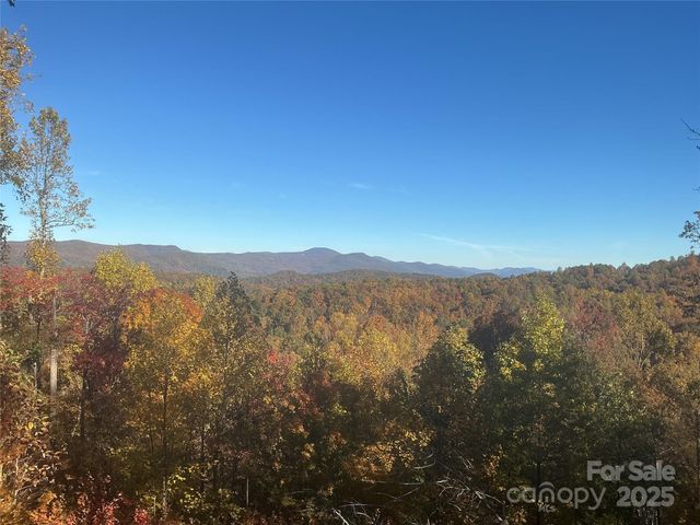 178 Tablerock Drive, Saluda, NC 28773