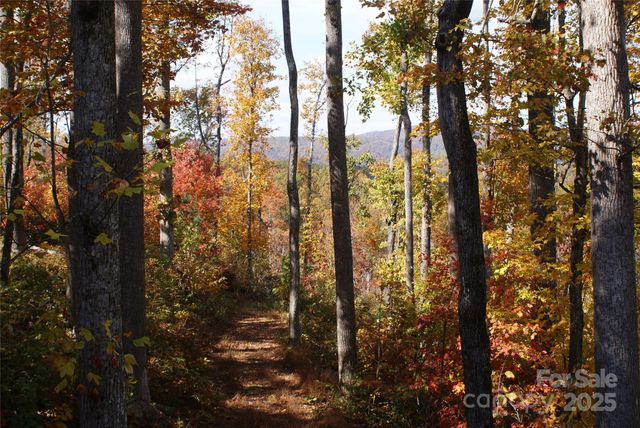 178 Tablerock Drive, Saluda, NC 28773