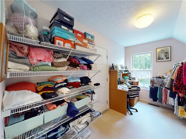 56 Wellesly Boulevard, Painesville, OH 44077