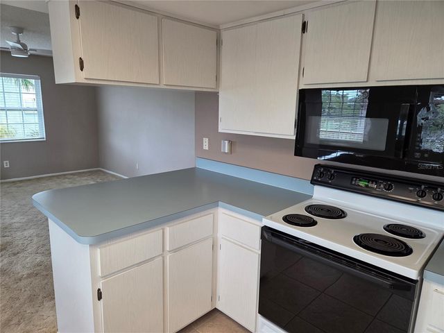 2529 SAN LUIS ROAD, Holiday, FL 34691