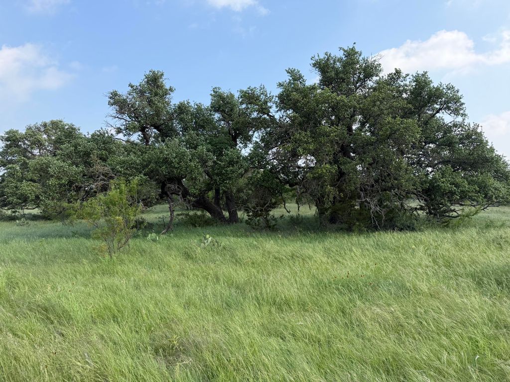 Image 11 of property listing at 301 Ranch To Market Road 2597, Sonora, TX 76950