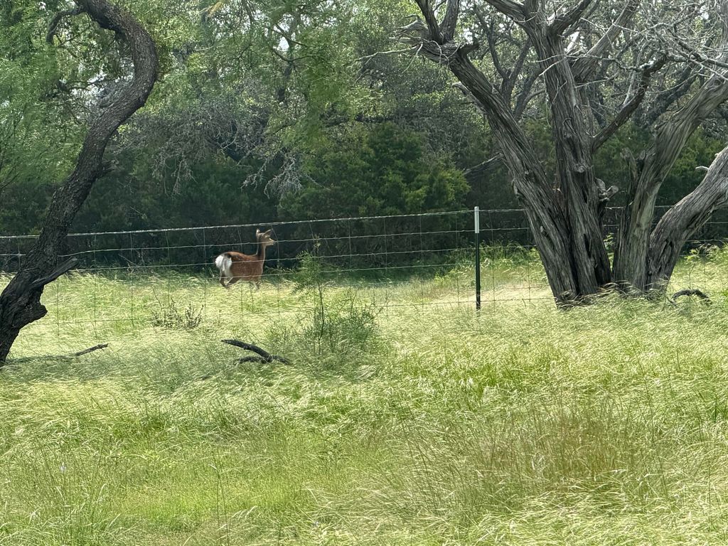 Image 12 of property listing at 301 Ranch To Market Road 2597, Sonora, TX 76950