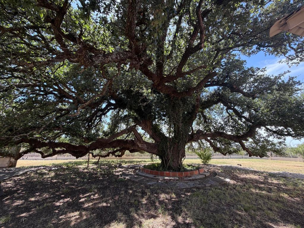 Image 17 of property listing at 301 Ranch To Market Road 2597, Sonora, TX 76950