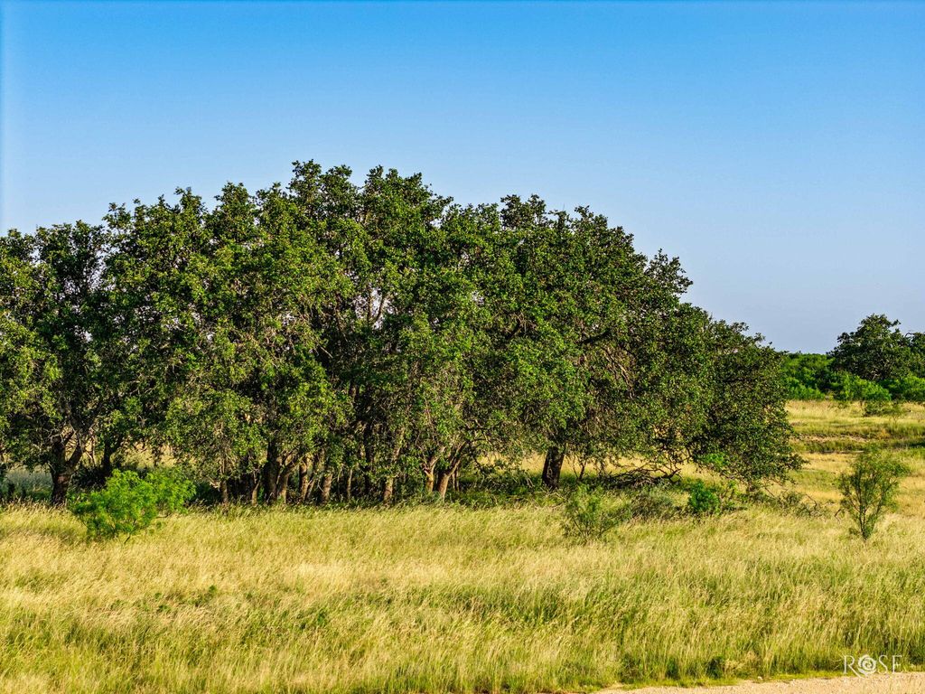 Image 3 of property listing at 301 Ranch To Market Road 2597, Sonora, TX 76950