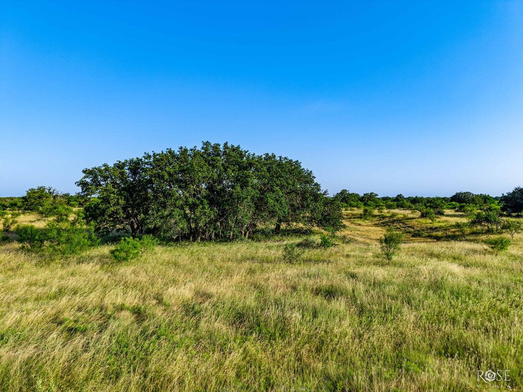 Image 4 of property listing at 301 Ranch To Market Road 2597, Sonora, TX 76950