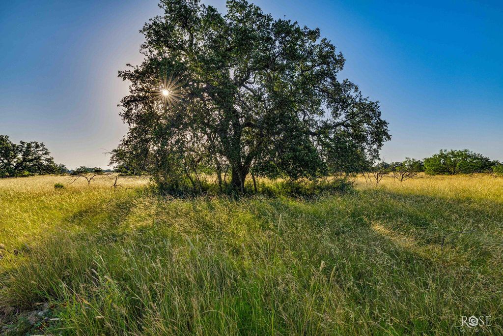 Image 6 of property listing at 301 Ranch To Market Road 2597, Sonora, TX 76950
