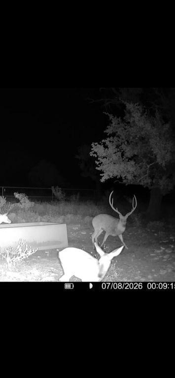 Image 9 of property listing at 301 Ranch To Market Road 2597, Sonora, TX 76950