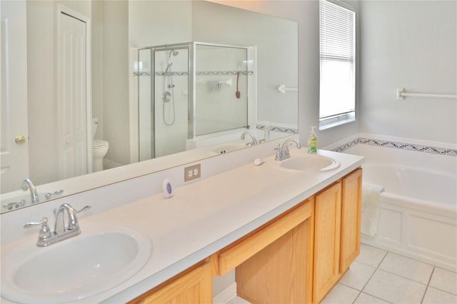 10224 GRANT CREEK DRIVE, Tampa, FL 33647