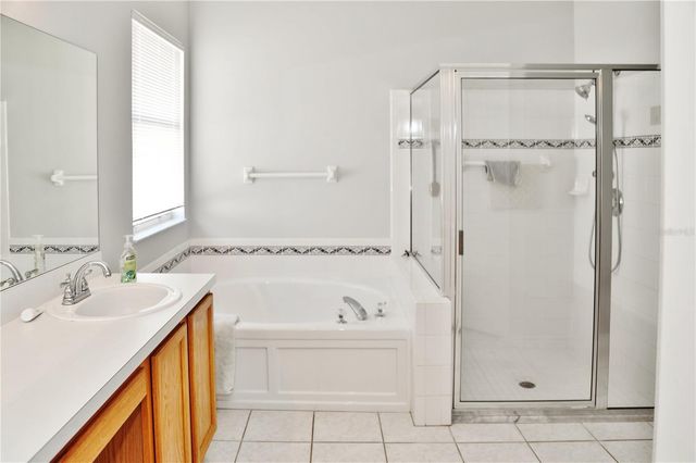 10224 GRANT CREEK DRIVE, Tampa, FL 33647