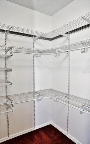 10224 GRANT CREEK DRIVE, Tampa, FL 33647