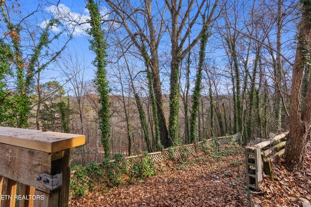 335 Buena Vista Dr Drive, Sevierville, TN 37876