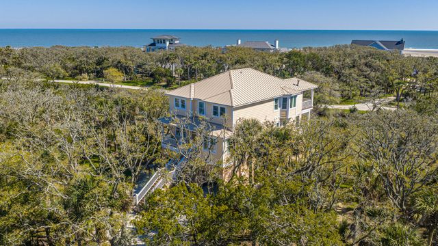 4 Sharks Tooth Circle, Edisto Island, SC 29438