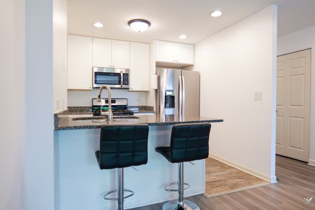 1001 N Mill Street 308, Naperville, IL 60563
