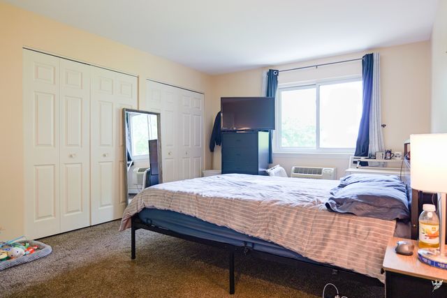 1001 N Mill Street 308, Naperville, IL 60563
