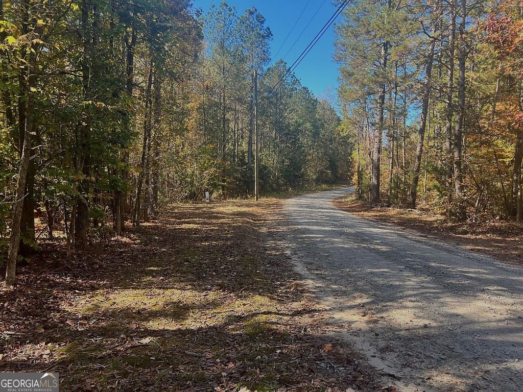 17.86AC Pine Ridge Drive, Elberton, GA 30635 — photo 2