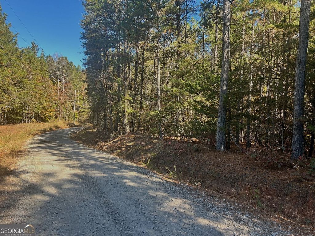17.86AC Pine Ridge Drive, Elberton, GA 30635 — photo 3